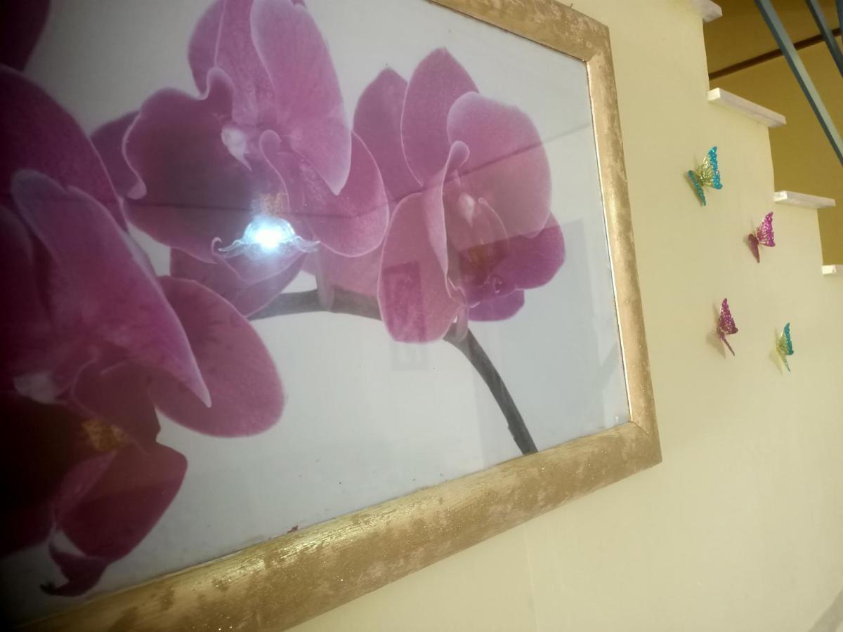 ヴェトラッラ Casa Soleヴィラ エクステリア 写真
